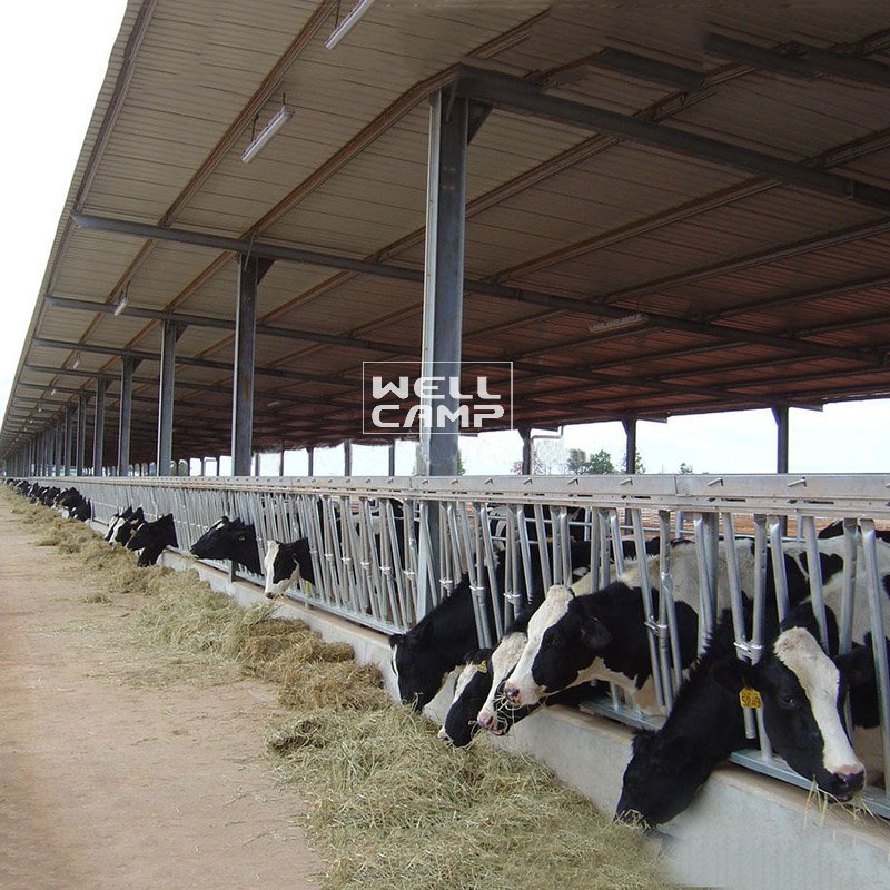 WELLCAMP, WELLCAMP prefab house, WELLCAMP container house Light Steel Prefab Steel Structure Cowshed, Wellcamp S-45 Steel Structure Shed image47